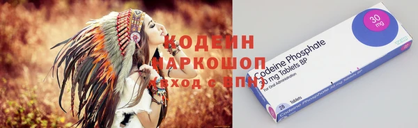 шишки Кукмор