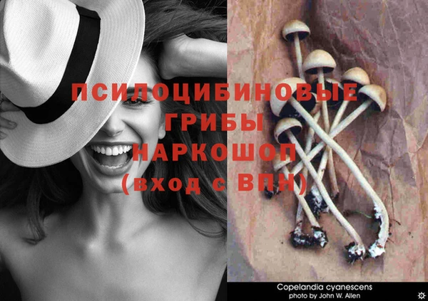 индика Куйбышев