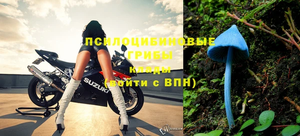 индика Куйбышев