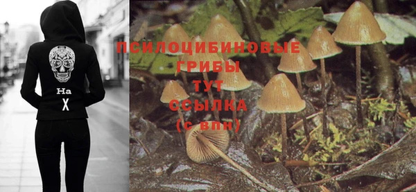 мет Кулебаки