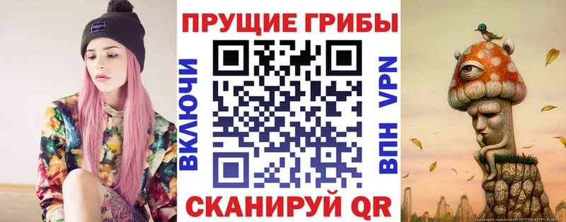 Псилоцибиновые грибы Cubensis  Уварово 