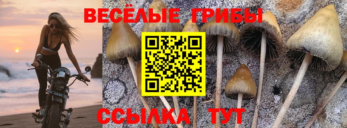Галлюциногенные грибы мицелий  Вход с VPN  Уварово 